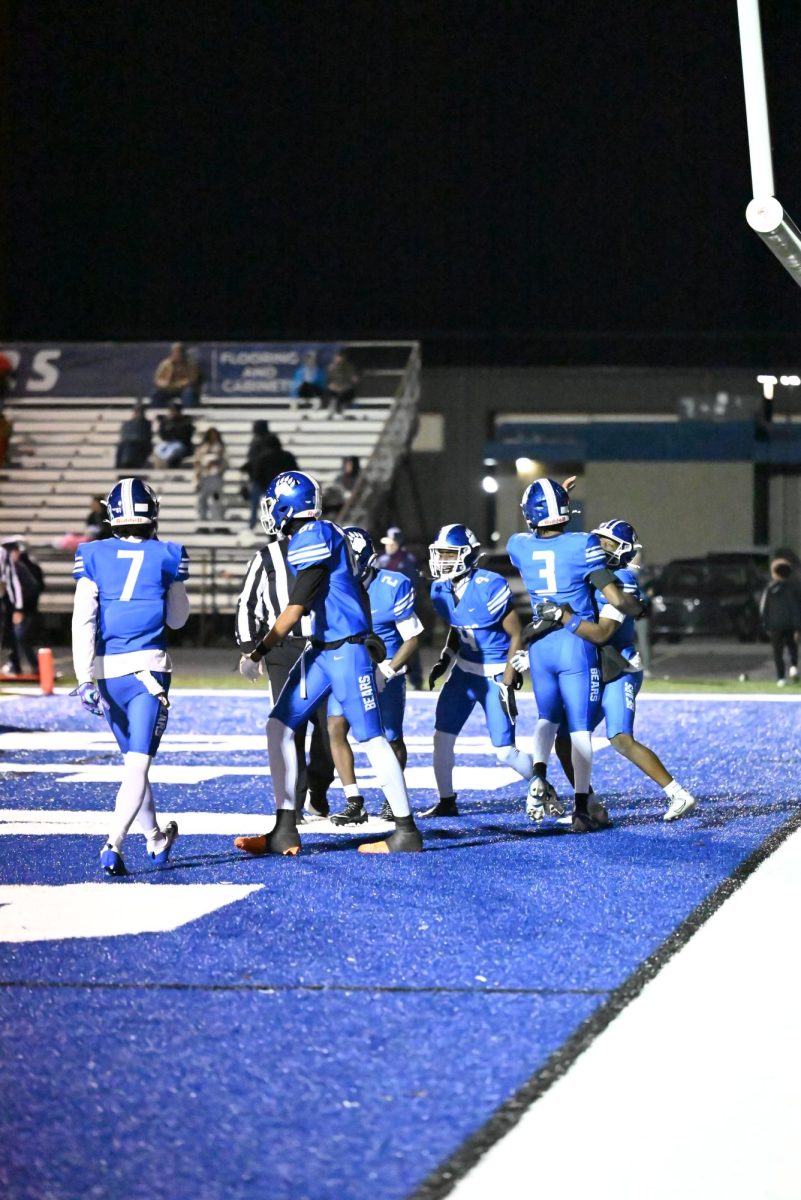 Bears celebrate touchdown. 