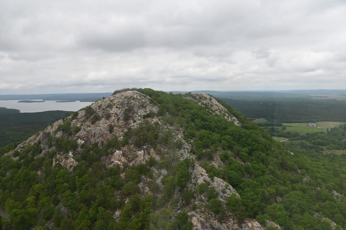 The Young Eagles circle Pinnacle Mountain State Park during an April 25 flight. 